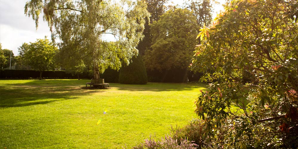 student-accommodation-london-garden-sunny